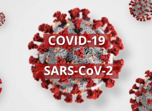 Grafika - COVID SARS COV-2