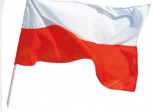 Grafika flaga Polski